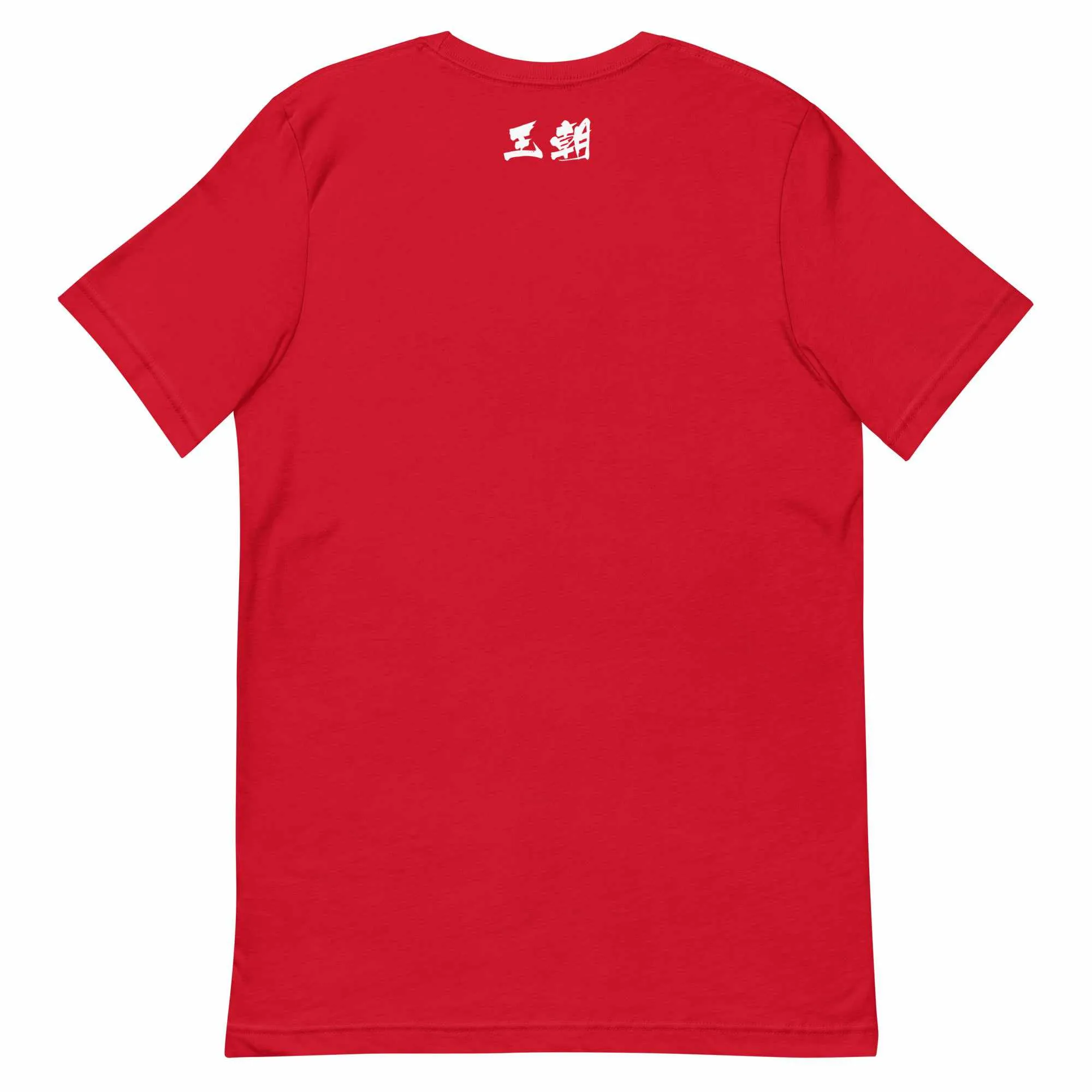 散打 Sanda / Sanshou Kung Fu (Chinese Kickboxing) Typography T-Shirt