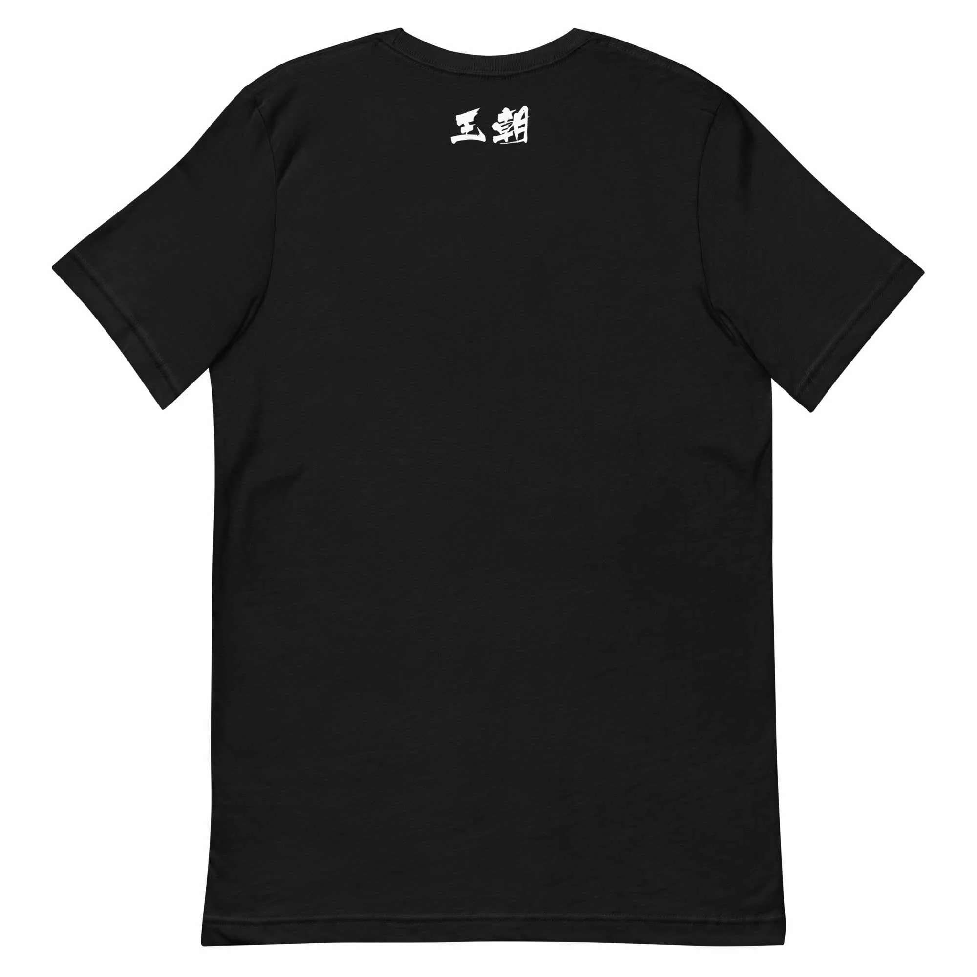 散打 Sanda / Sanshou Kung Fu (Chinese Kickboxing) Typography T-Shirt