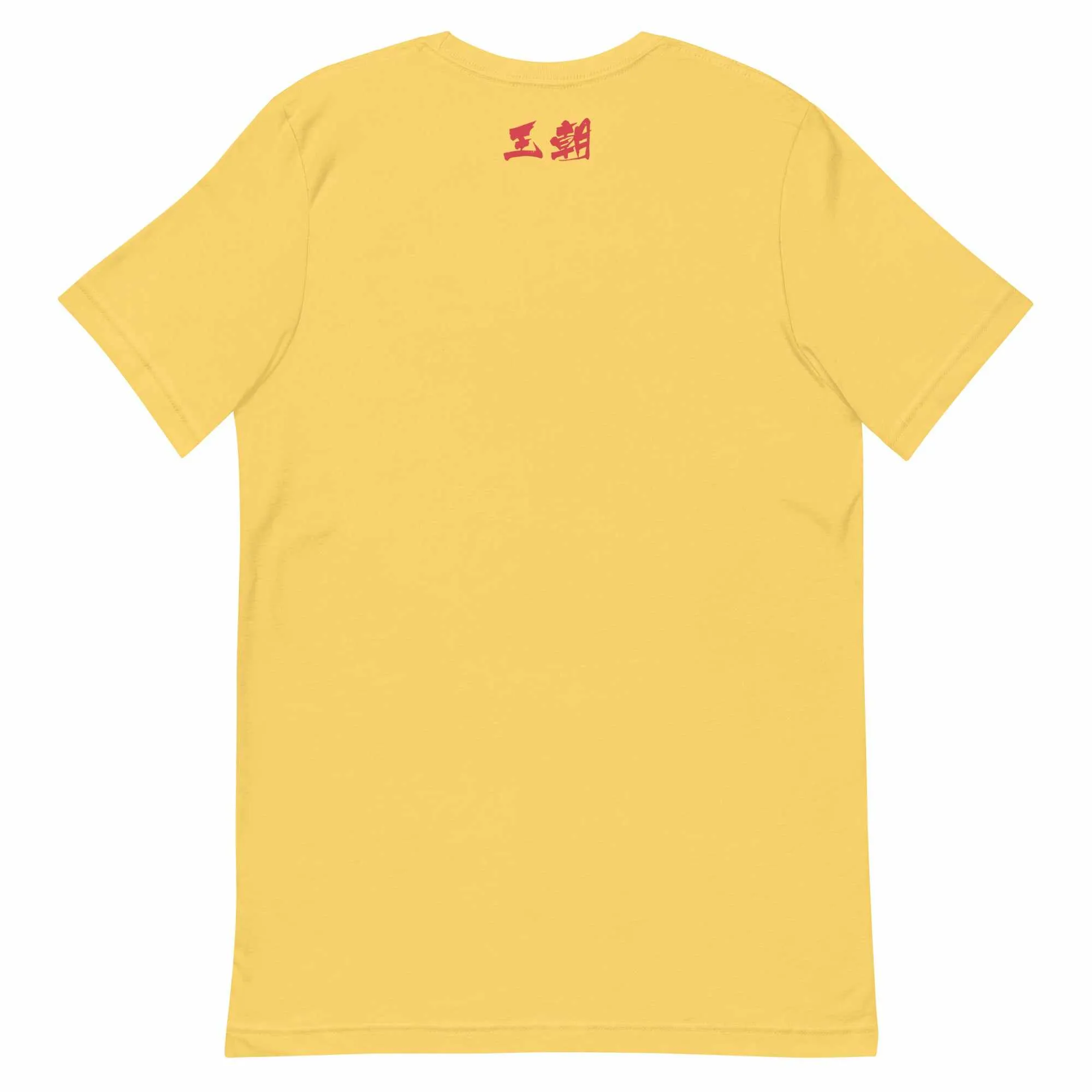散打 Sanda / Sanshou Kung Fu (Chinese Kickboxing) Typography T-Shirt